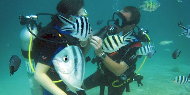 PADI Discovery Initiation diving in mauritius (14)